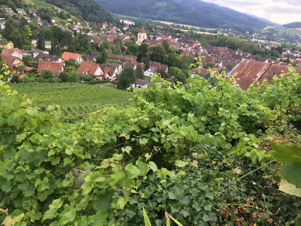 Gasthaus Zum Hirschen Staufen im Breisgau Luaran gambar